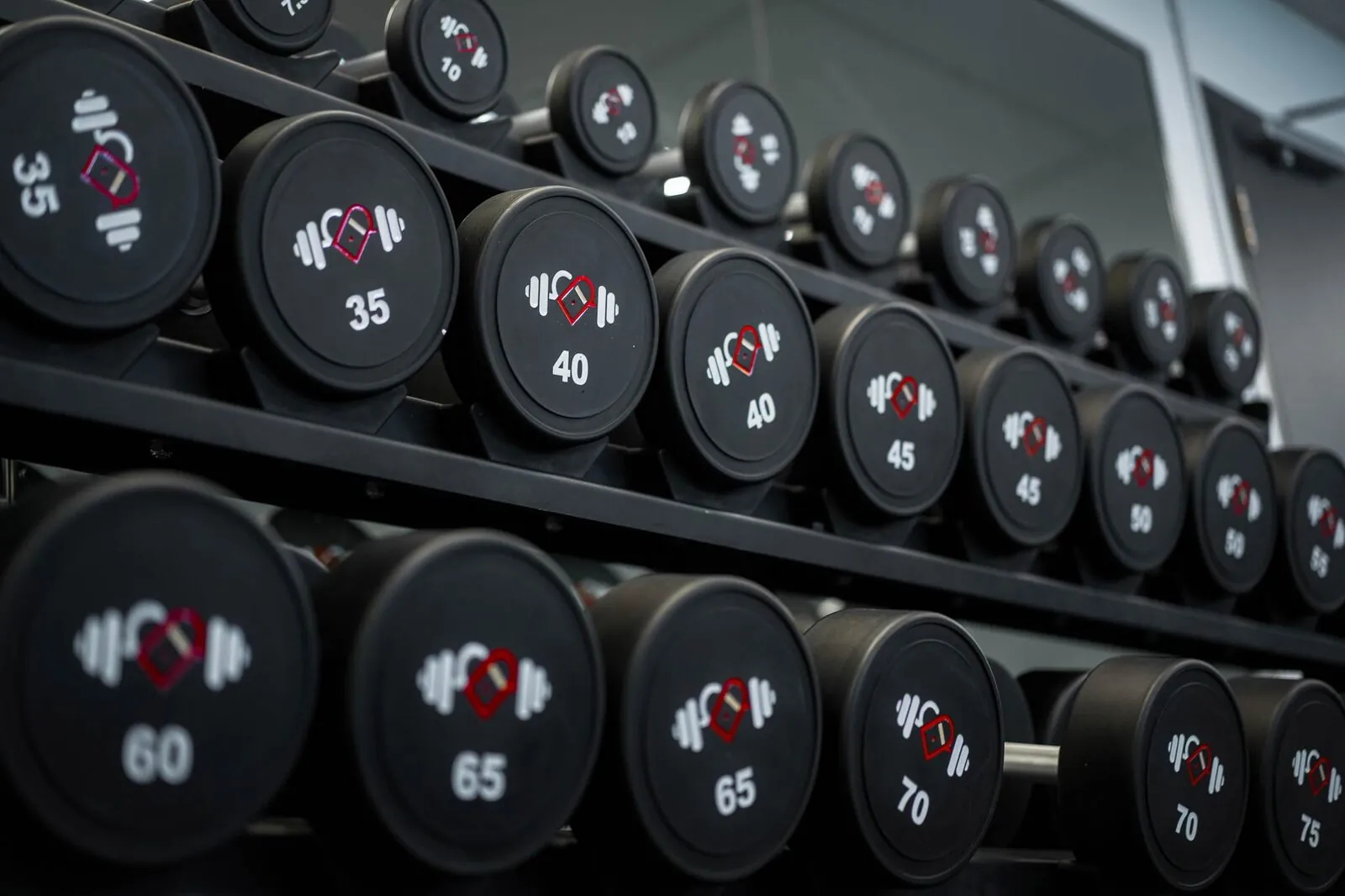 alpha Fitness