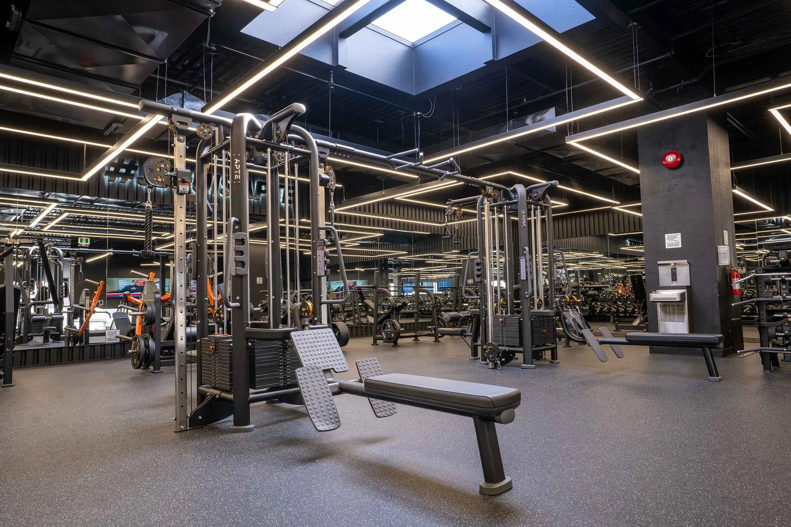 Apte Fitness