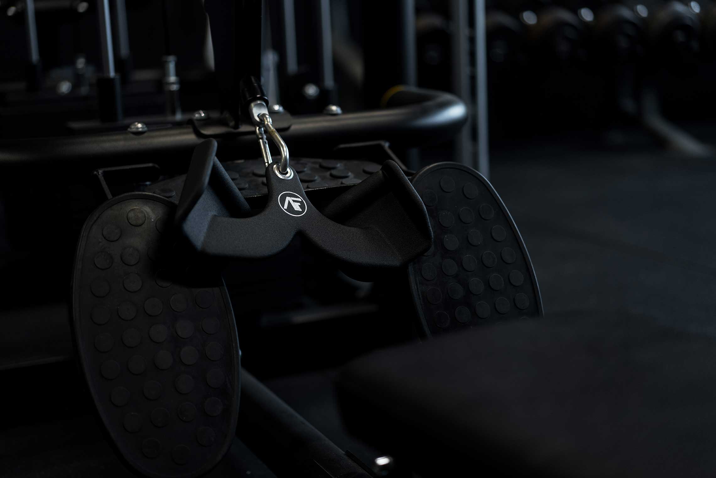 CRS Professional Gym Design