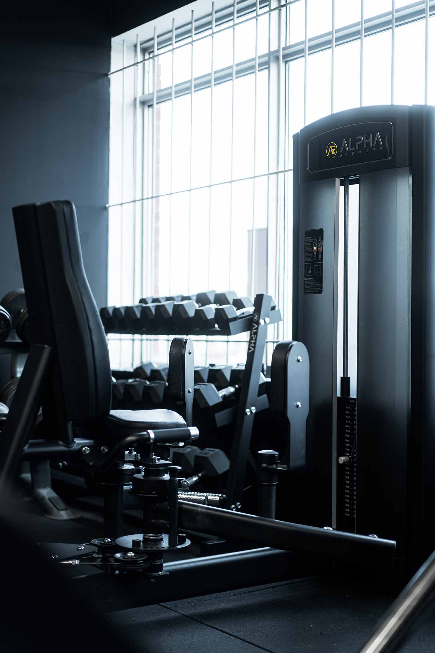 CRS Professional Gym Design