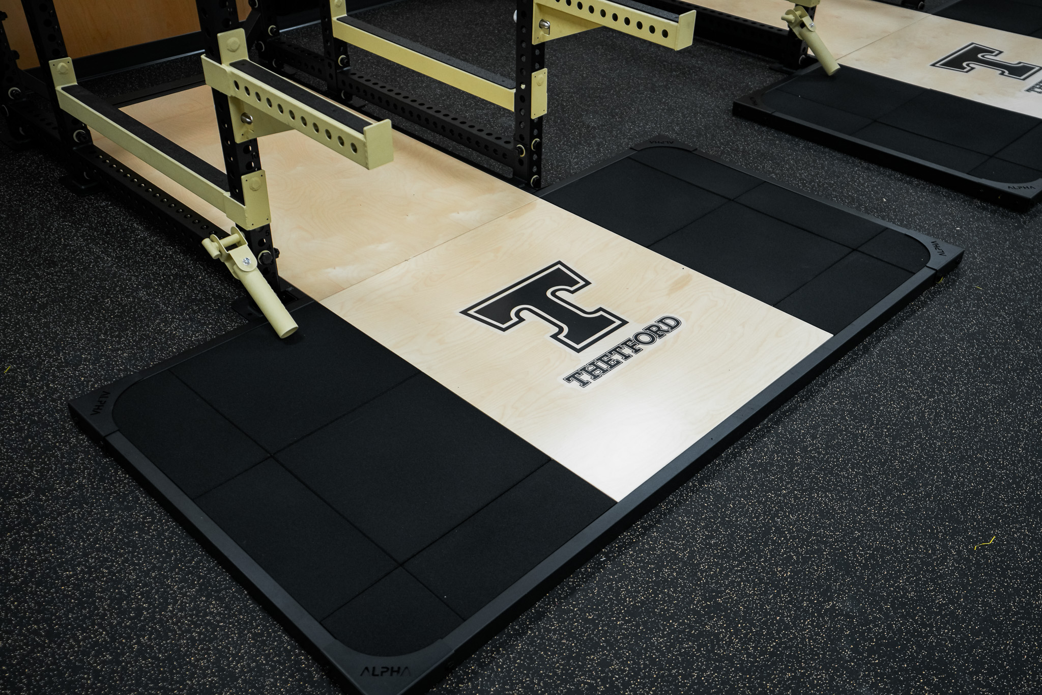 Alpha Fitness sports complex