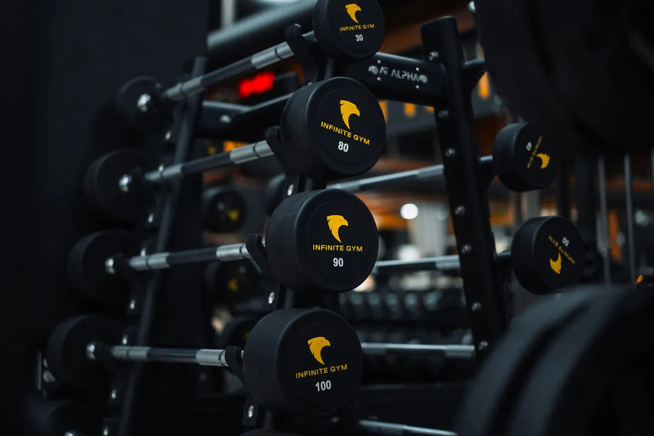 Conception professionnelle de gymnases