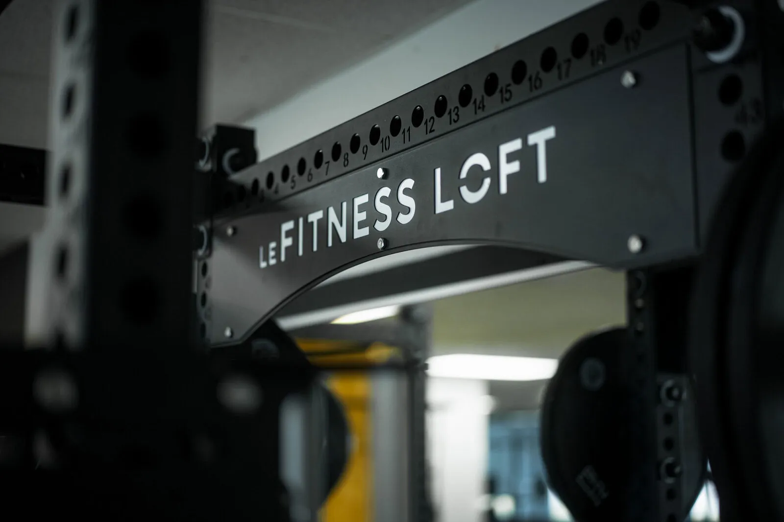 Alpha Fitness