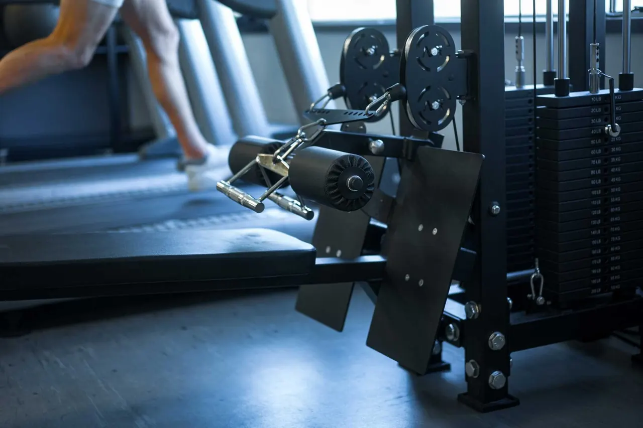 Alpha Fitness