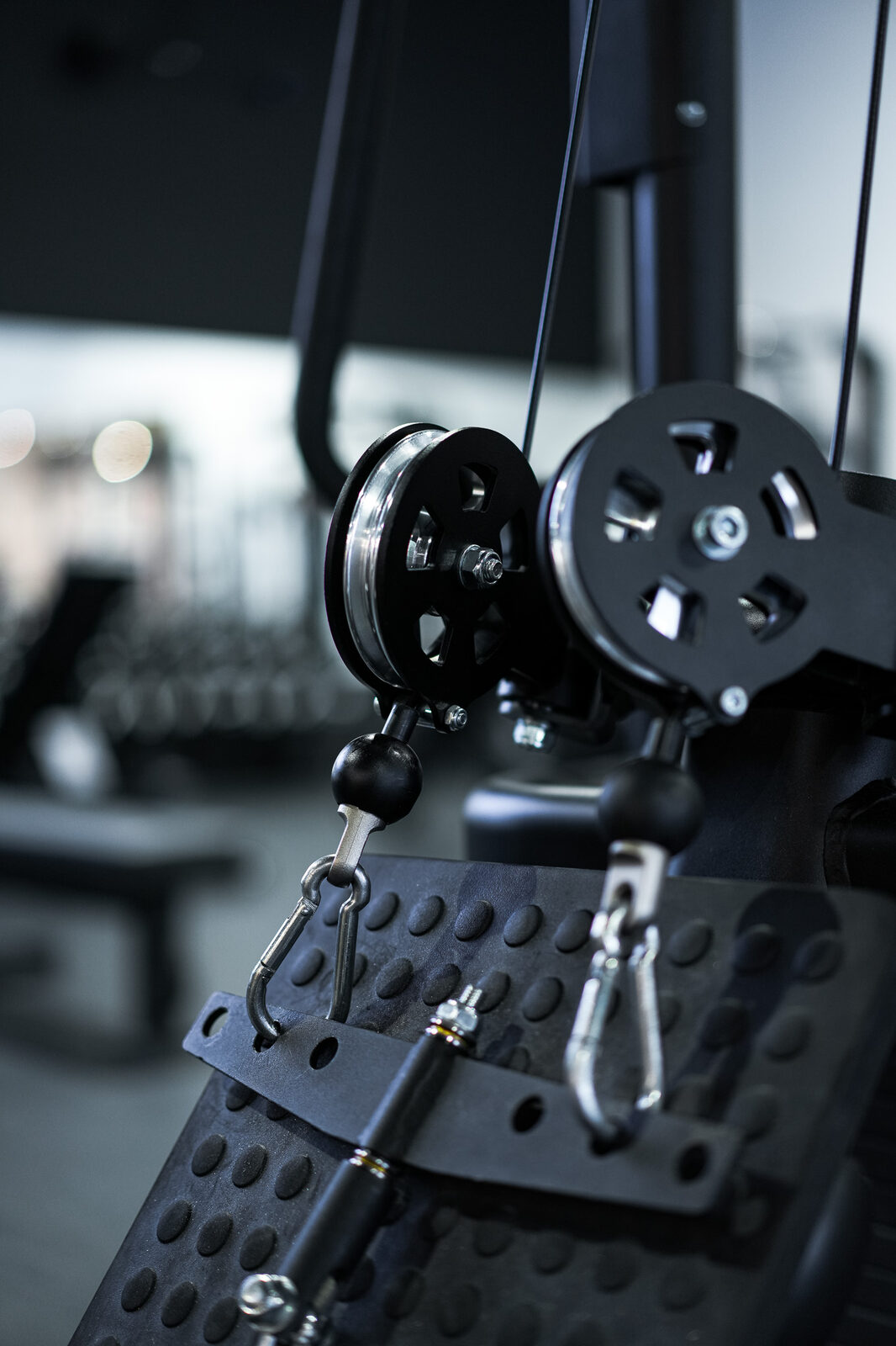 Maxiforme Cap-Rouge Gym Design