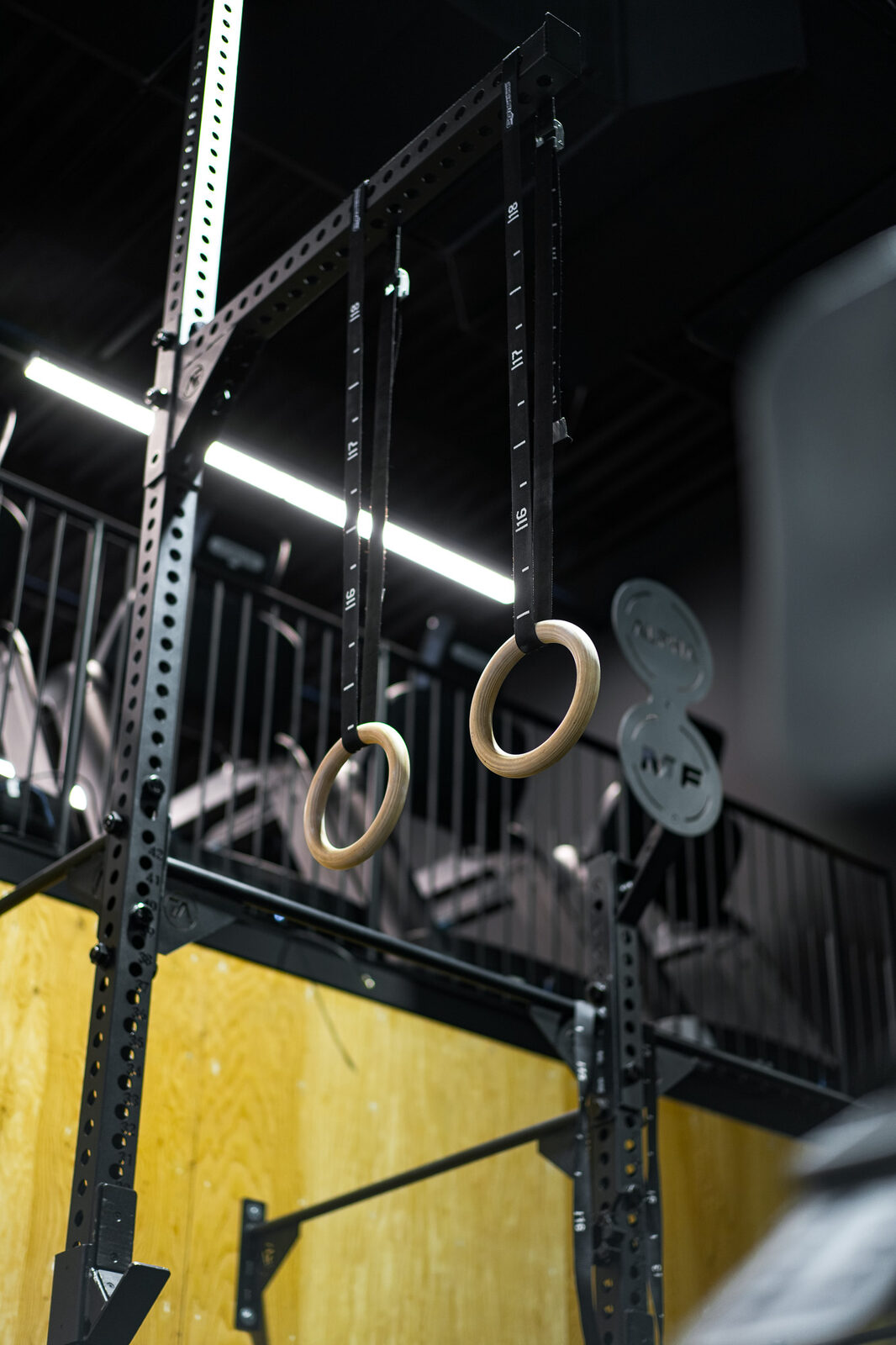 Maxiforme Cap-Rouge Gym Design