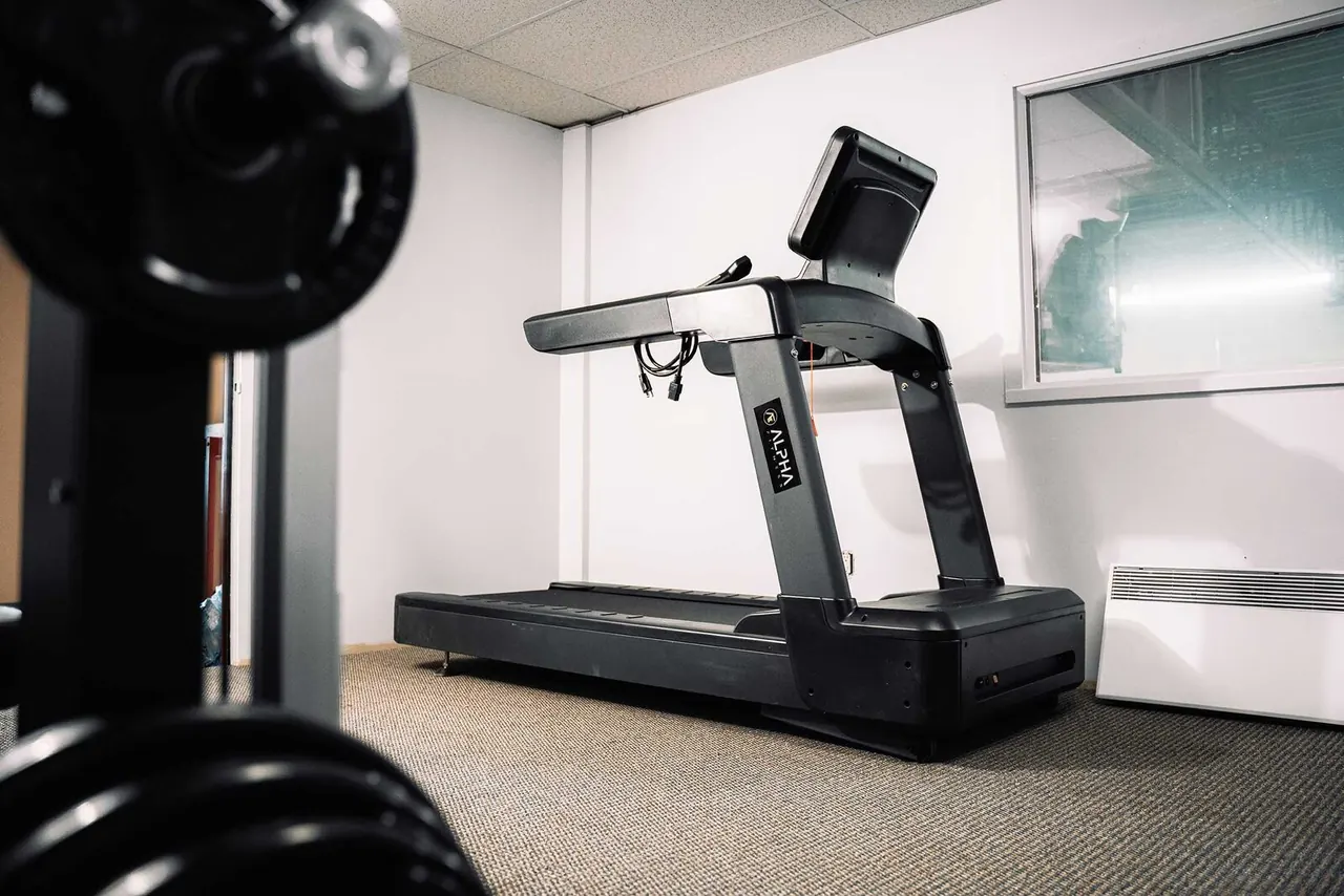 conception professionnelle des salles de sport