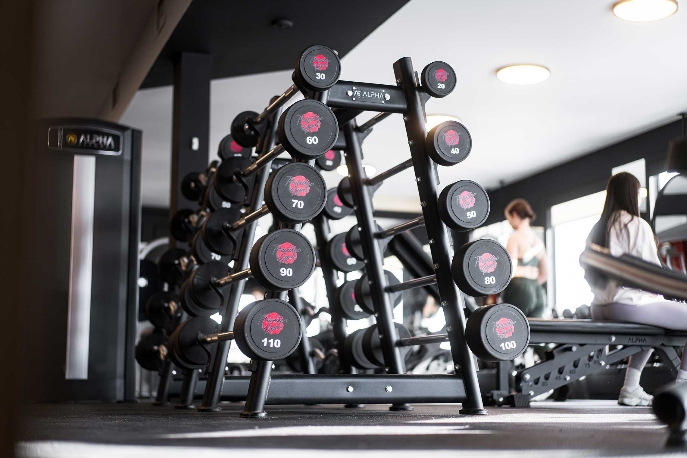 Privilège Gym Professional Gym Design