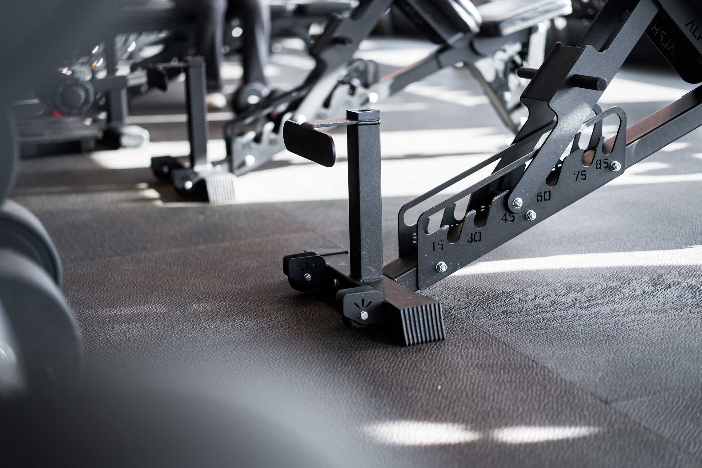 Privilège Gym Professional Gym Design