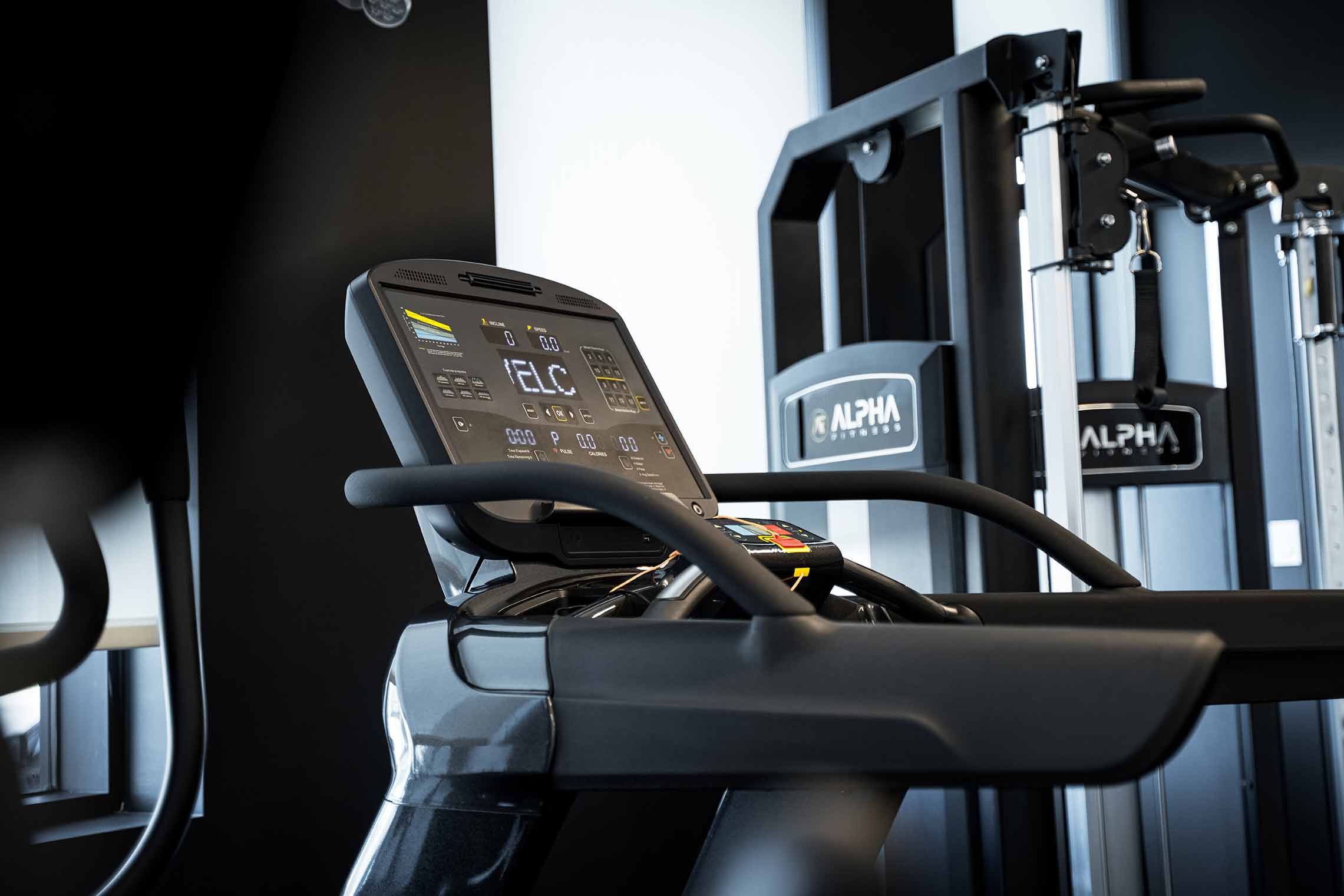 custom designed office gym