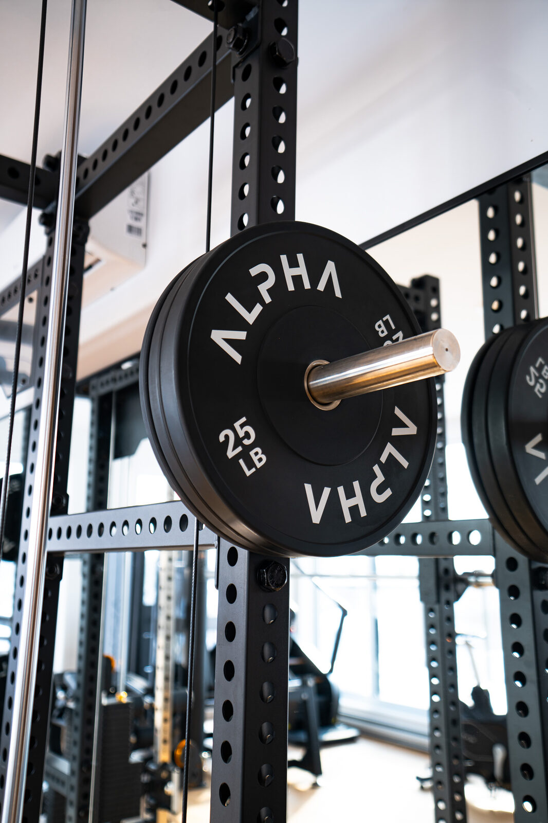 Treana Residential Gym Design