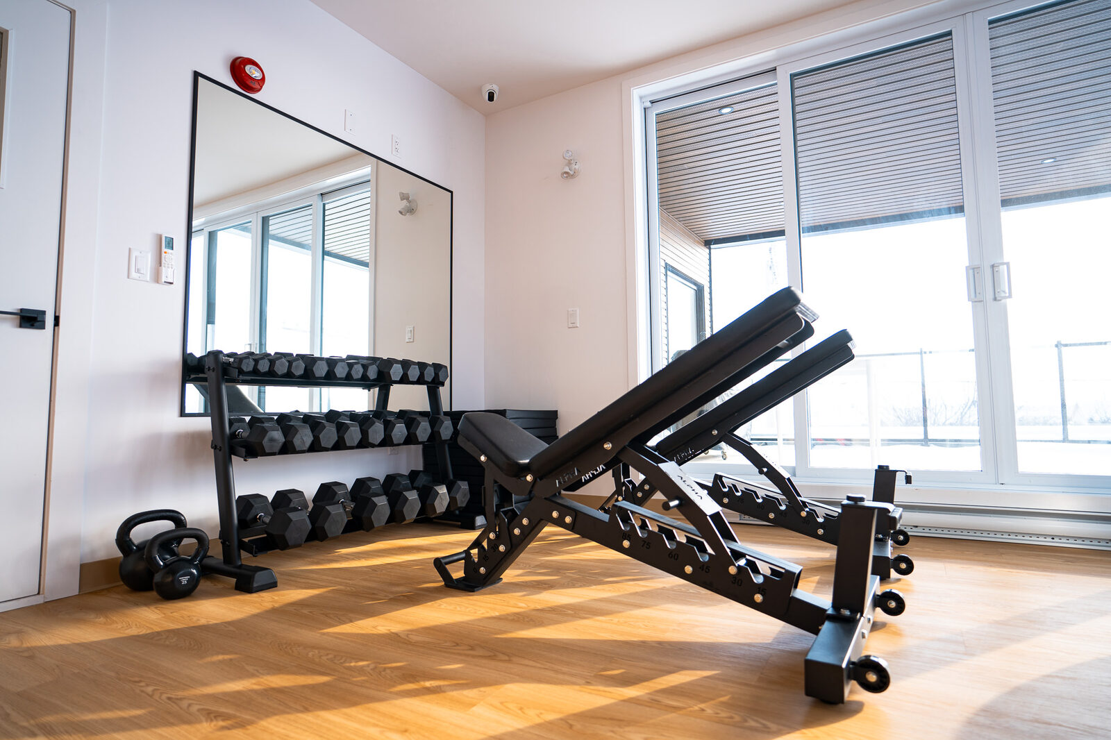 Treana Residential Gym Design